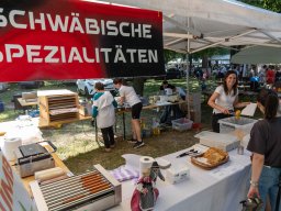 Bundestreffen der Sathmarer Schwaben in Großkarol, 15. Juni 2025